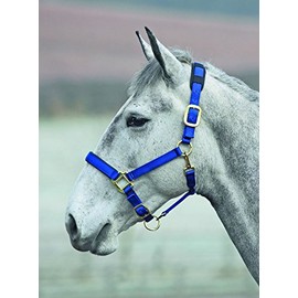 Shires Topaz Leather Breakaway Nylon Headcollar