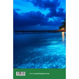 The Bioluminescent Blackout - Englische Krimi-Lektüre B1-B2: Spannende Seiten & Worterklärungen