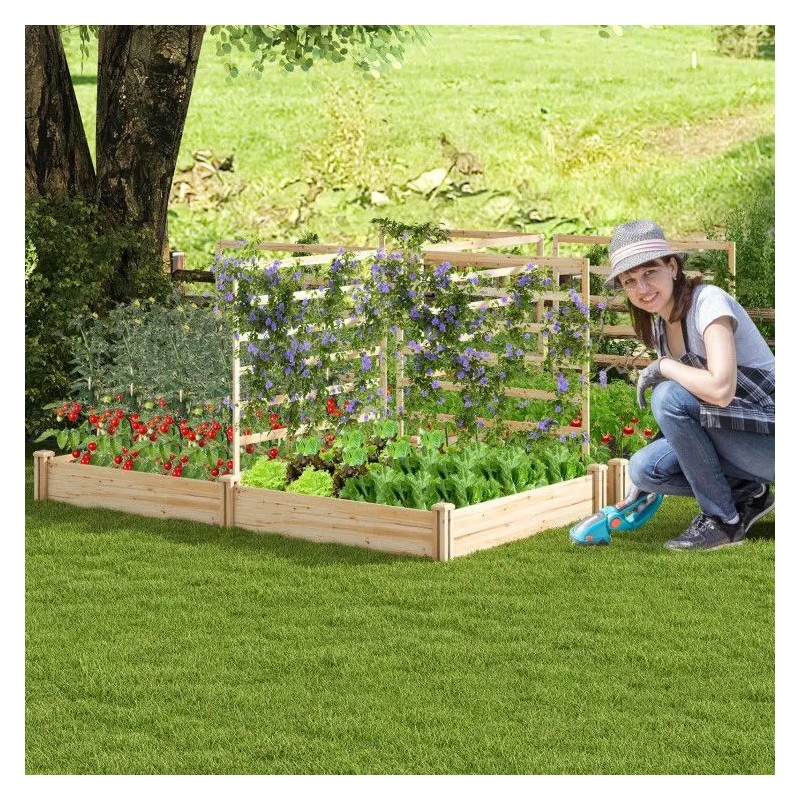 Raised Garden Bed with 2 Planter Boxes and 3 Trellis