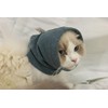DDFS Cat Ear Cover Ear Wrap Hematoma Compression Keep Calm