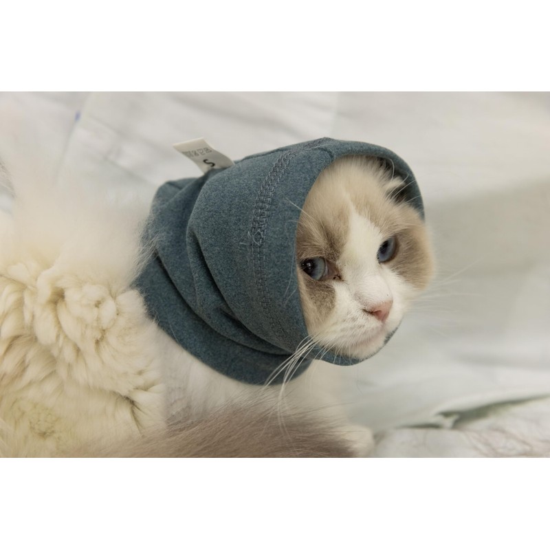 DDFS Cat Ear Cover Ear Wrap Hematoma Compression Keep Calm