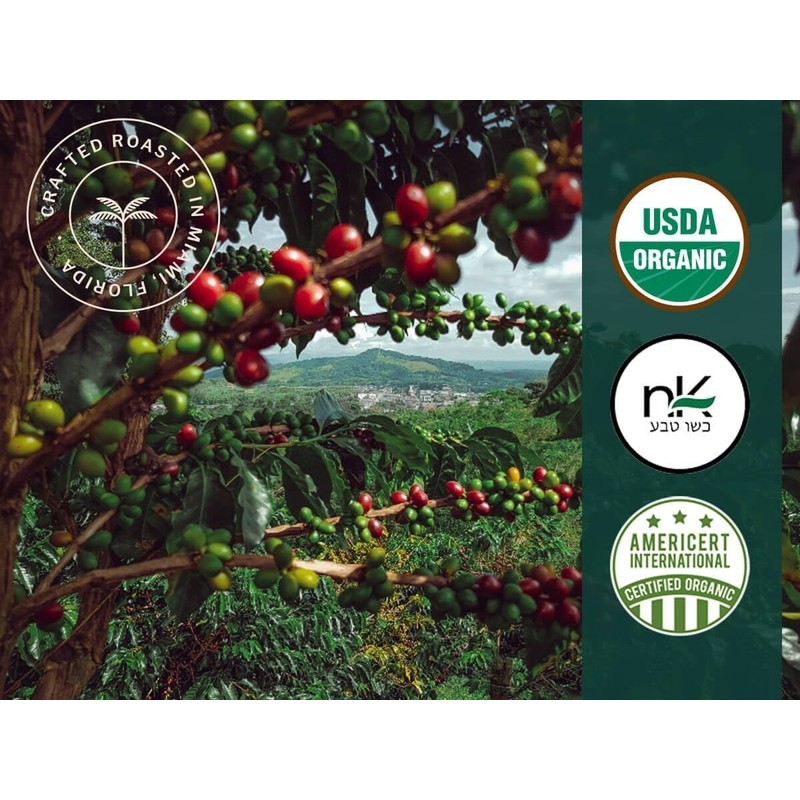 Artizan Coffee USDA Organic Espresso Coffee Capsules For Nespresso Original