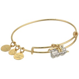 Alex and Ani Charity by Design, Train Bangle Bracelet, Two-Tone Shiny Gold One Size