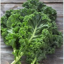 White Russian Kale Seeds for Planting – Plant & Grow Heirloom White Russian Kale in Home Outdoor Vegetable Garden, Brassica Napus – 1 Packet Approx 200 Seeds