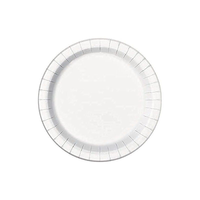 White Round Paper Dinner Plates - 9", 8 Count -
