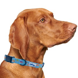 CUTIE TIES Dog Collar Donuts – Durable Nylon Material - Premium Quality Collars for Dogs - Fancy Collars - Cute Dog Collars in Three Sizes (Donuts, Small (11" - 16"))