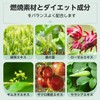 ISDG 【リニューアル版】Sweet習慣 Diet サプリメント ダイエット サプリ 緑茶エキス末 桑の葉末 ローゼルエキス末配合 60粒