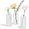 ComSaf Set of 3 Glass Bud Vases Set of 3,
