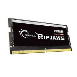 G.Skill Ripjaws (Intel XMP) 16GB (1 x 16GB) DDR5 4800 CL40-39-39 1.10V Single Channel Laptop Memory/RAM - F5-4800S4039A16GX1-RS (Black)