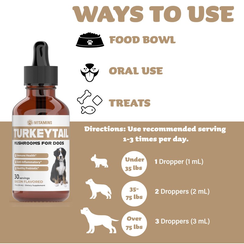 Turkey Tail Mushroom for Dogs | Helps to Boost the