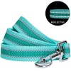 Blueberry Pet Essentials Reflective Back to Basics Dog Leash, Minty
