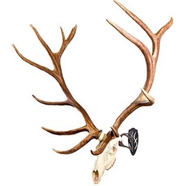 Skull Hooker Big Hooker European Trophy Mount – Perfect Kit for Hanging and Mounting Taxidermy Elk, Moose, & Caribou Antlers Skulls for Display – Graphite Black