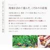 Natsume Iro, Ginger, Ginger, 0.1 oz (3 g) x 24