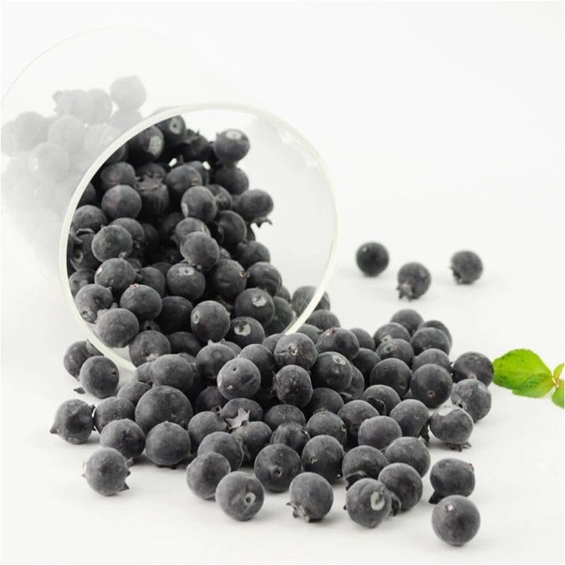 Rikyo 50 Blueberries Artificial Fruits, Realistic Lifelike Blue Foam Fruits,