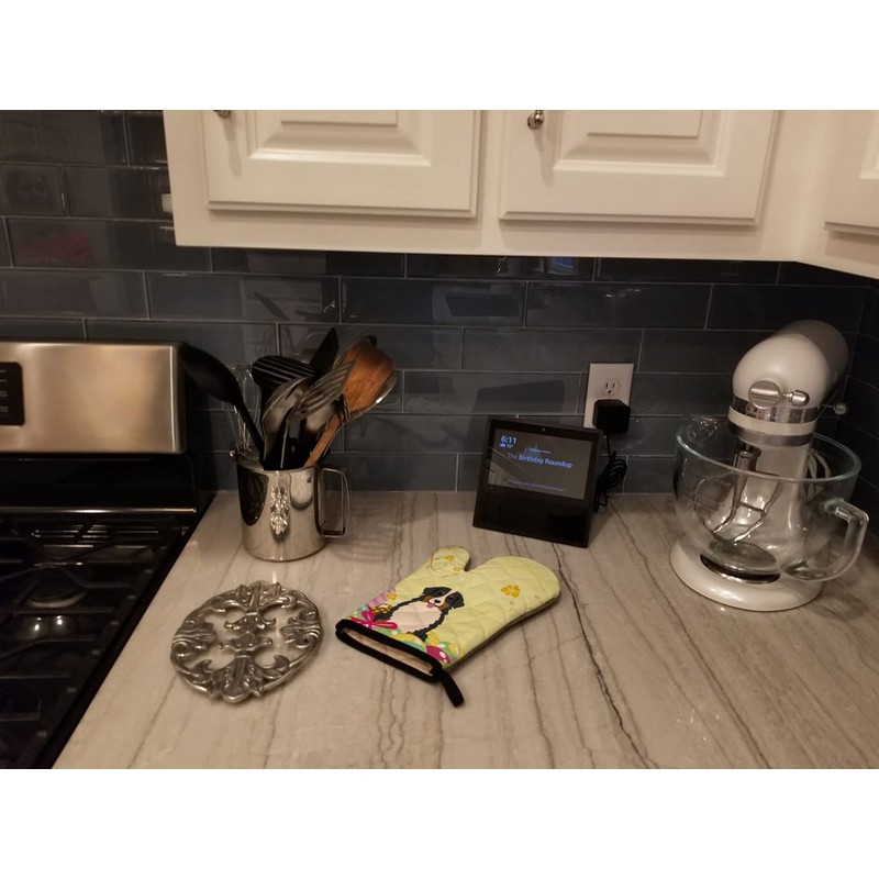 Caroline's Treasures BB6036OVMT Easter Eggs Bernese Mountain Dog Oven Mitt,