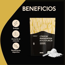 QUENUT | Creatina Monohidratada de Alta Pureza Sin Sabor, Creapure® (23BD21) 450g | Apoyo para la Energía y Rendimiento Físico | Suplemento Alimentici