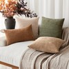 Foindtower Set of 2 Soft Textured Chenille Throw Decorative Pillow