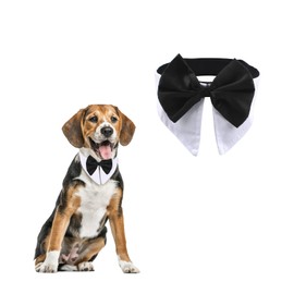 HACRAHO Formal Pet Bowtie Collar, 1 Piece White Tuxedo Bow Tie and Collar Adjustable Puppies Necktie Bows for Wedding Birthday Party for Cats Dogs, Neck Girth 21.97-25"