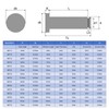 QUARKZMAN Set of 5 M6 x 35 mm 304 Stainless
