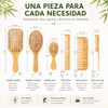 6 Piezas Cepillo para Cabello, Antiestático，Peine para Cabello Antiobstrucción, se