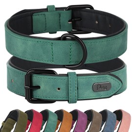Didog Soft Padded Leather Dog Collar, Breathable Heavy Duty Dog Collar Leather with Adjustable Rust-Proof Metal Buckle for Small Medium Large Dogs, Green, M: Total length 16'', Fit 11-13''Neck