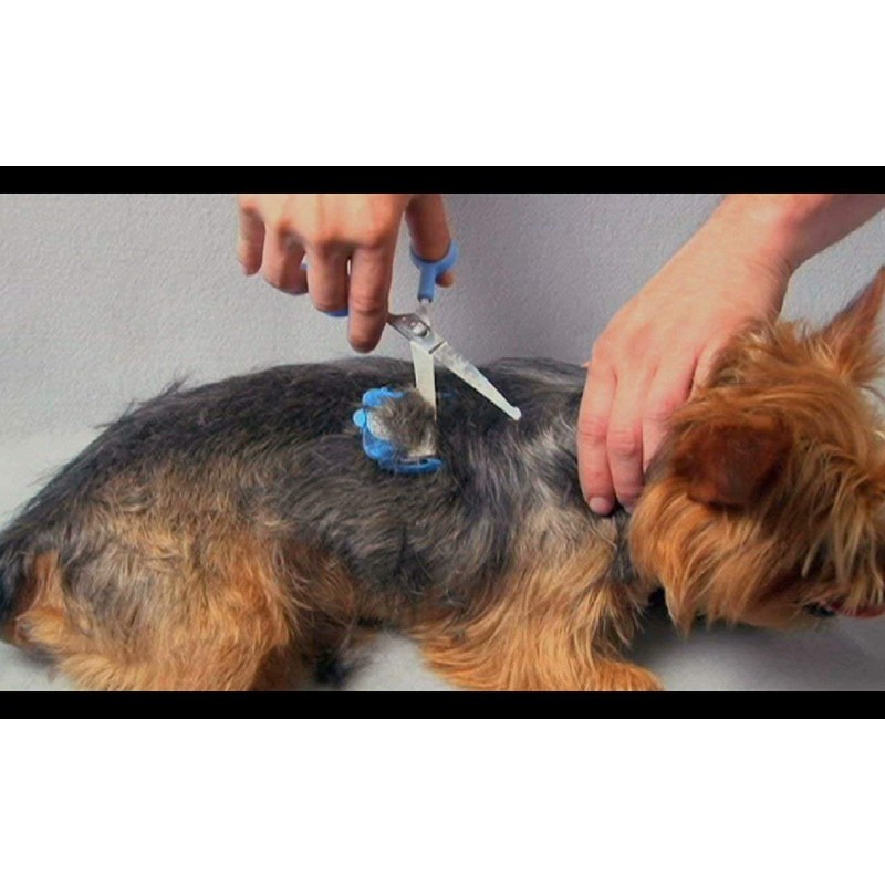 SCAREDY CUT Silent Pet Grooming Kit for Dog, Cat and