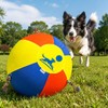 NUOLAN Upgraded 22" Heavy-Duty Herding Ball for Dogs with Knotted