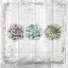 Boston International C026500 IHR Cocktail Beverage Paper Napkins, 5 x
