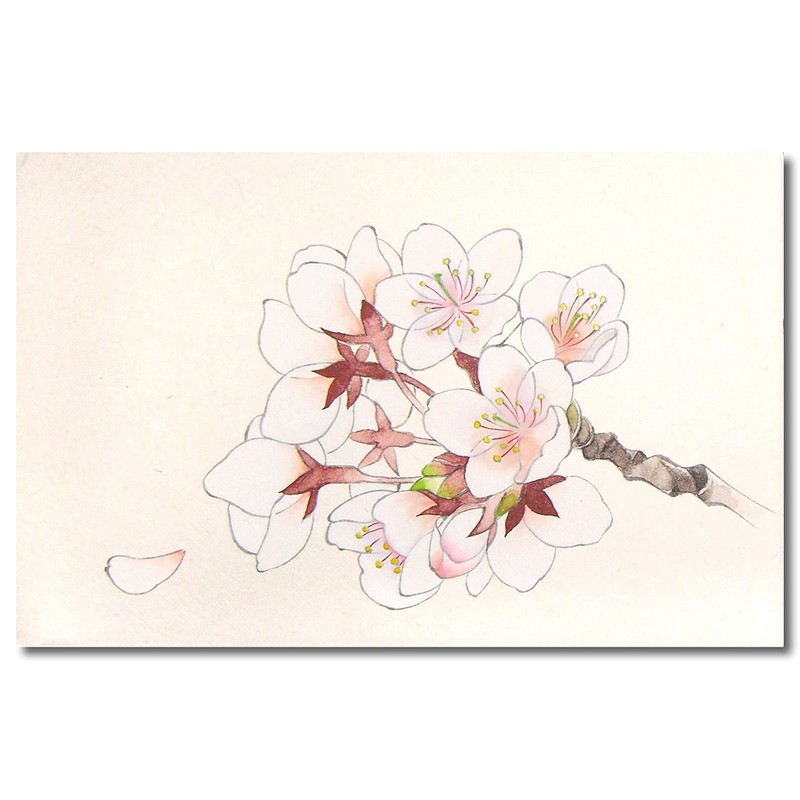 Nihonga Sumi-e Watercolor Paint Pan Set, 24 colors