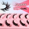 Cat Eye False Eyelashes, 5 Pairs Natural Fluffy Curling Faux