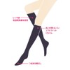 Gunze SABRINA Women's Tights, Warmth, Moisture Absorbent, Heat Generating, Anti-pilling,