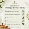 ISHOM Smudge Natural Incense Bricks Variety Pack of 90, (6