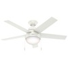 Hunter 46 inch Indoor Ceiling Fan with LED Light -