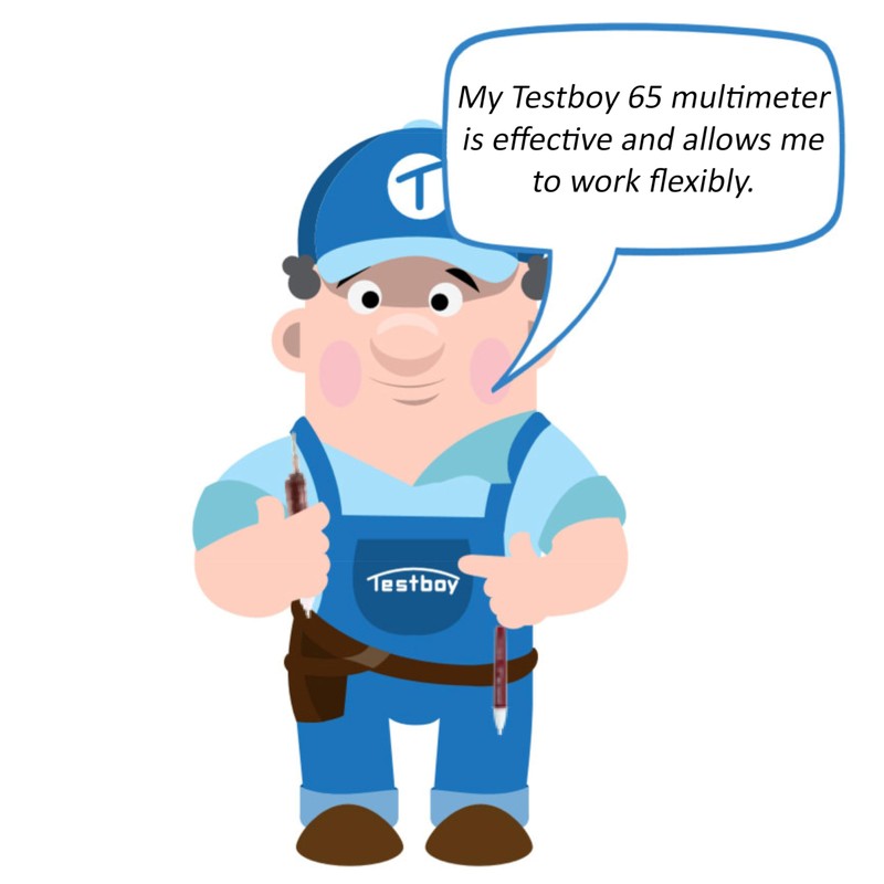 Testboy 65 Automotive Multimeter with Temperature Measurement Auto Meter (Speed