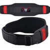 Weight Lifting Belt (Large)