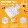 HunterBee 5 Pack Queen Bee Clip Queen Bee Marking Catcher