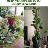 2 Pack Moss Pole - 48'' Bendable Moss Pole Monstera