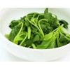 Mai's Family Green Amaranth - White Leaf seeds, Open pollinated,