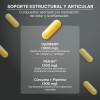 Vivenia Artimatrix Cúrcuma Msm Pea In Soporte Articulaciones