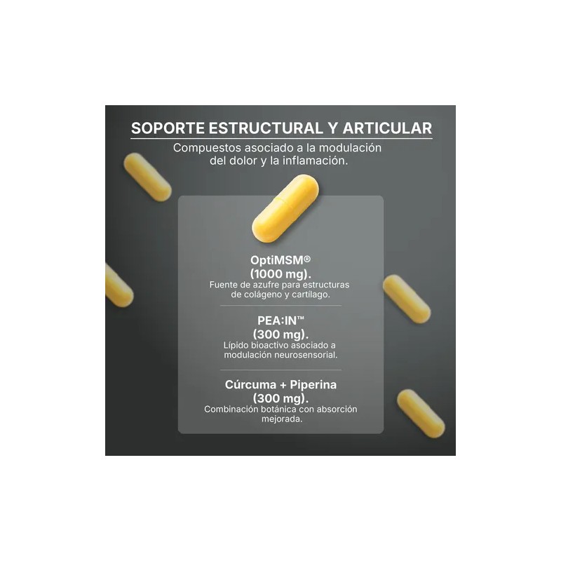 Vivenia Artimatrix Cúrcuma Msm Pea In Soporte Articulaciones