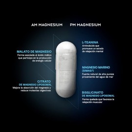 Magnesio AM + PM | Malato, Citrato, Bisglicinato y Magnesio Marino con L-Teanina | Certificado FST | Energía Diurna y Relajación Nocturna | 240 Cápsul