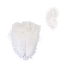 Gotetiso Pack of 20 Ostrich Feathers Soft Feathers White 20-25 cm Bouquet Feather Decorative Feathers DIY Craft Accessories for Wedding Decoration Party Table Decoration Home Decor
