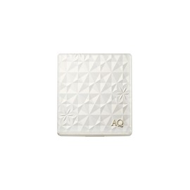 AQ Cushion Case / AQ 쿠션 케이스