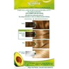 Garnier Nutrisse Creme Coloración Permanente Con Mascarilla Nutritiva De Cuatro