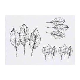 Azeeda 4 x 'Drei Blätter' Temporäre Tattoos - Wasserfest, Hautfreundlich & Ungiftig · Transfers in Verschiedenen Größen (TO00073170)