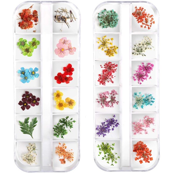 Teenior 24 Colors Nail Dried Flowers, 3D Nail Art Sticker for Tips Manicure Decor Mixed Accessories, Starry Leaves Flower (2 Boxes)