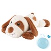 WEOK Puppy Heartbeat Toy, Dog Heartbeat Toy for Separation Anxiety