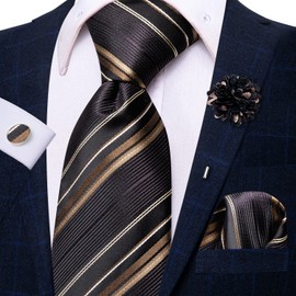 Hi-Tie Men's Ties Silk Tie and Pocket Square Cufflinks Set Woven Formal Necktie with Lapel Pin Set for Wedding Party,Black and Gold