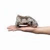 Archnote Reptile Leopard Gecko Shelter Lizard Corn Snake Turtle Rock