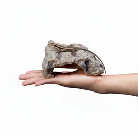 Archnote Reptile Leopard Gecko Shelter Lizard Corn Snake Turtle Rock Shelter Reptile Shelter Rock Hideaway S